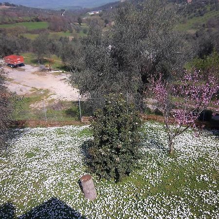 מונטמראנו Agriturismo Norianino מראה חיצוני תמונה