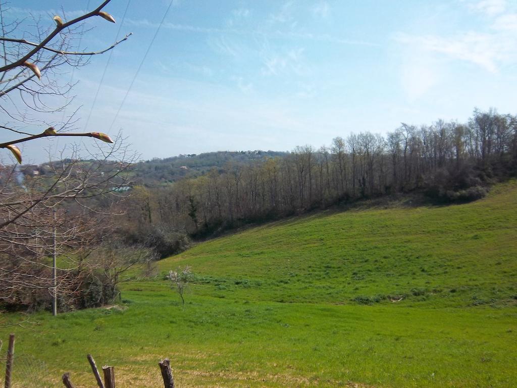 מונטמראנו Agriturismo Norianino מראה חיצוני תמונה